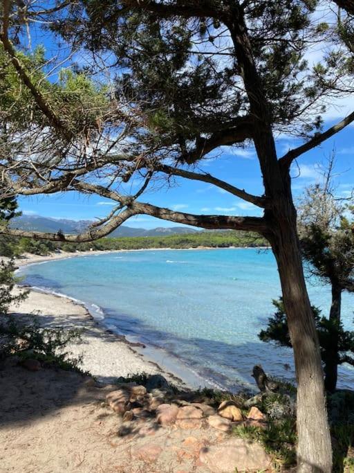 Villa Pacienta Bonifacio  Bagian luar foto